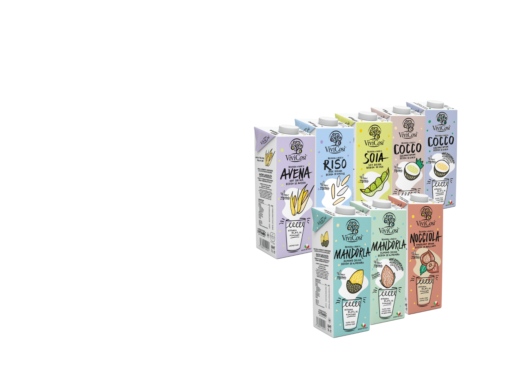 Flavour Taster kávé nagykereskedelem